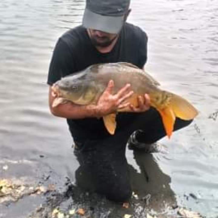 Profil de Attilio, 38 ans, Plan Cul à Graulinster