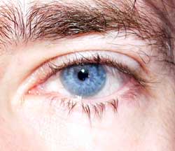 Profil de Marien, 55 ans, Plan Cul à Oberfeulen